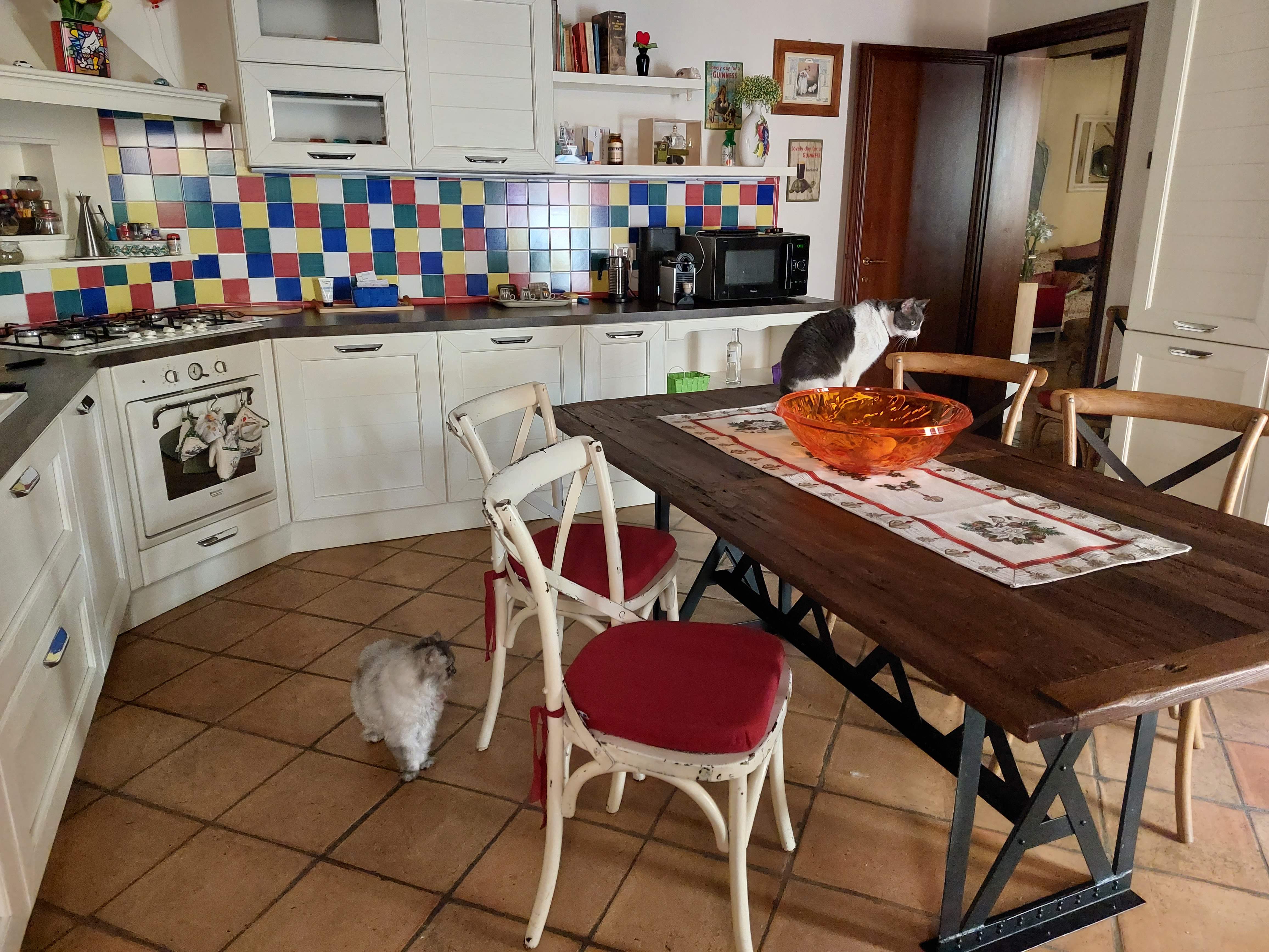 Cuscini sedie cucina in cotone rotondi e quadrati : (Tronzano Vercellese)